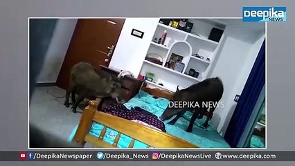 സൂക്ഷിക്കുക; ബബിത തോക്കെടുത്തു Story of First Lady