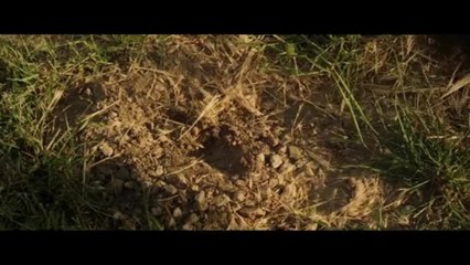 Here Comes the Devil - Trailer (English Subtitels) HD