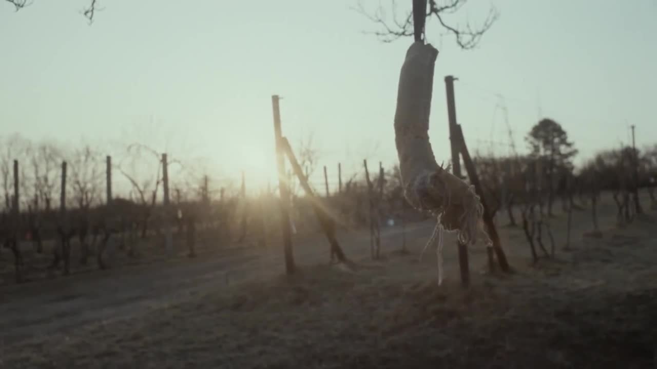 My Dog Killer - Trailer (Deutsche Untertitel) HD