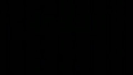 Robot Chicken - Trailer Star Wars II (English)