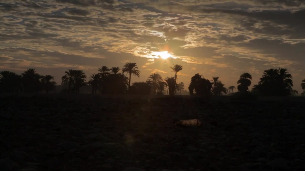 Art War - Trailer (Deutsch) HD