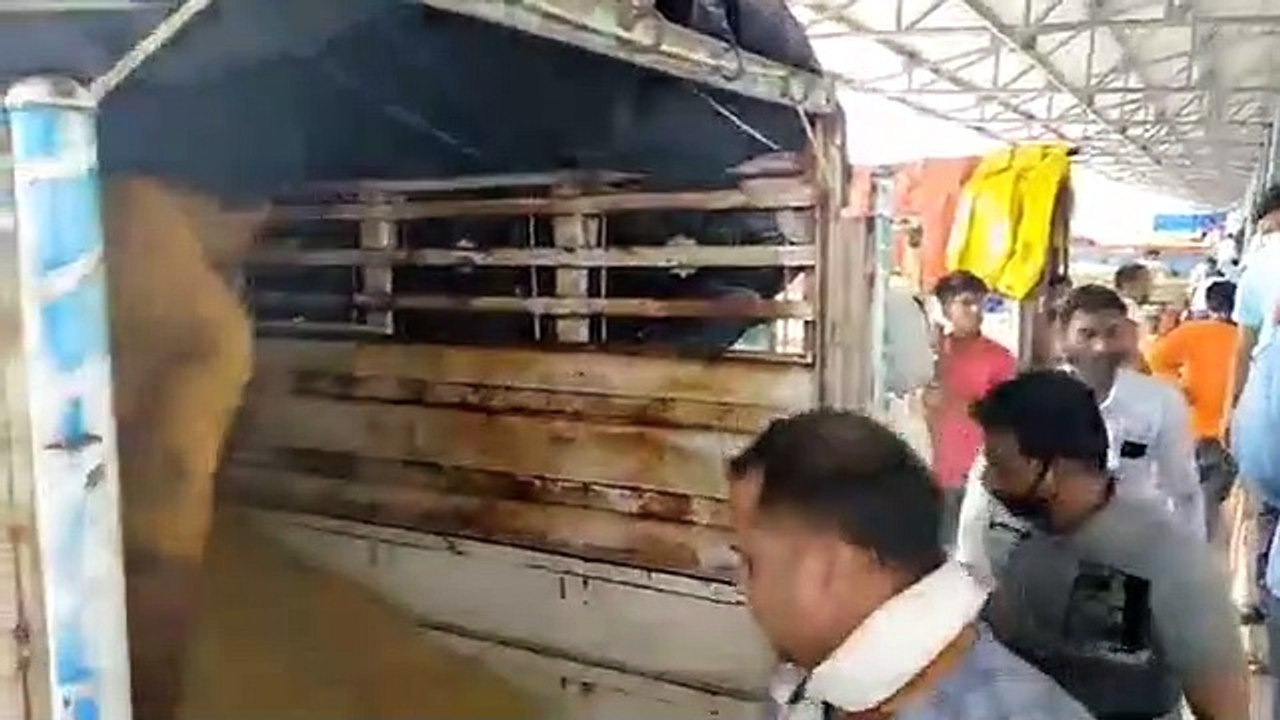कृषि उपज मंडी में सोयाबीन के अच्छे रहे भाव
