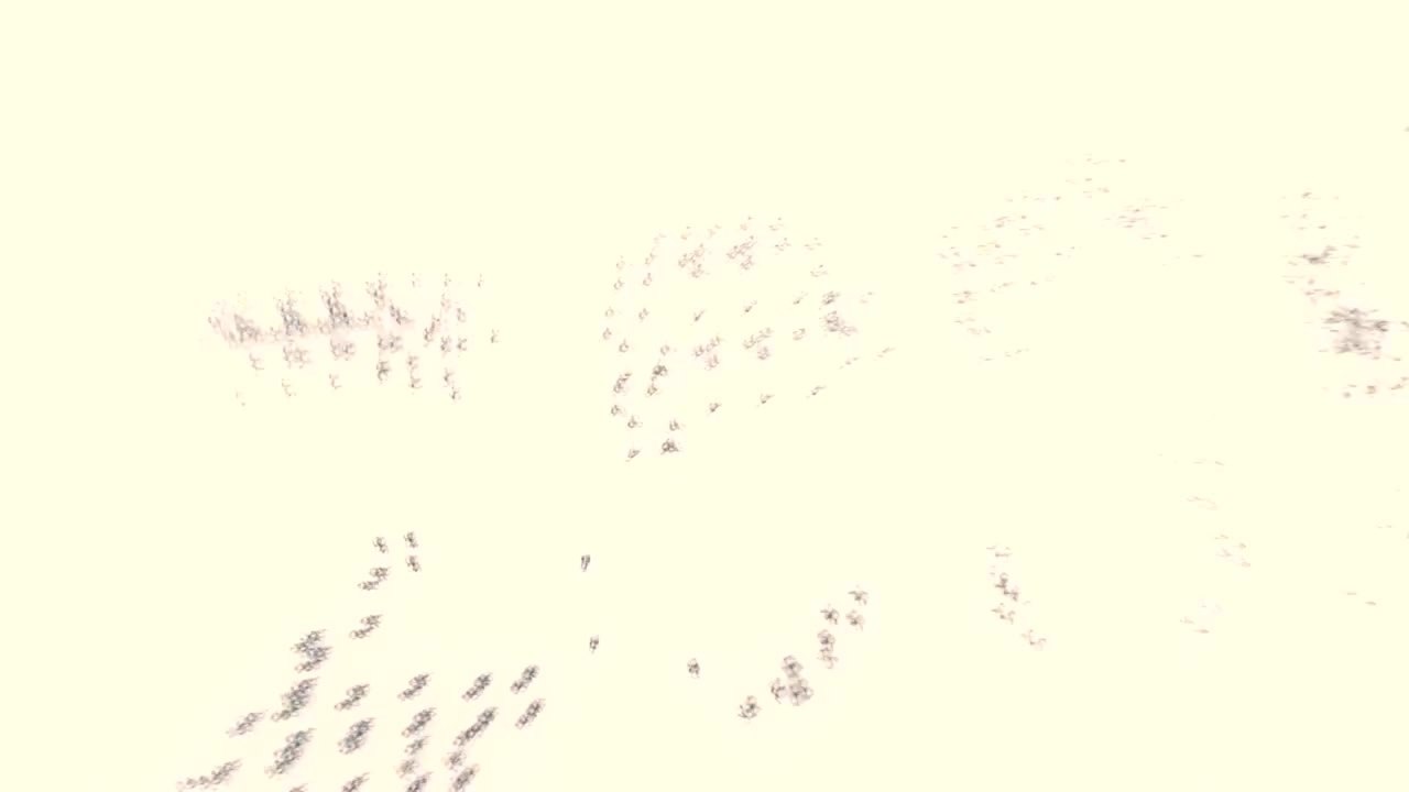 Bizum Hoca Unser Hodscha - Trailer (Deutsche Untertitel) HD