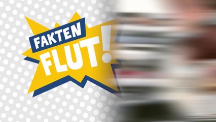 42 Fakten zu Raubkopien