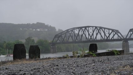 Those Who Kill - S01 Trailer (English) HD