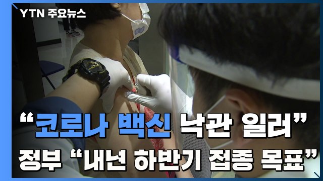 전문가 코로나 백신 낙관하기 일러 ...정부 내년 하반기 접종 목표 / YTN