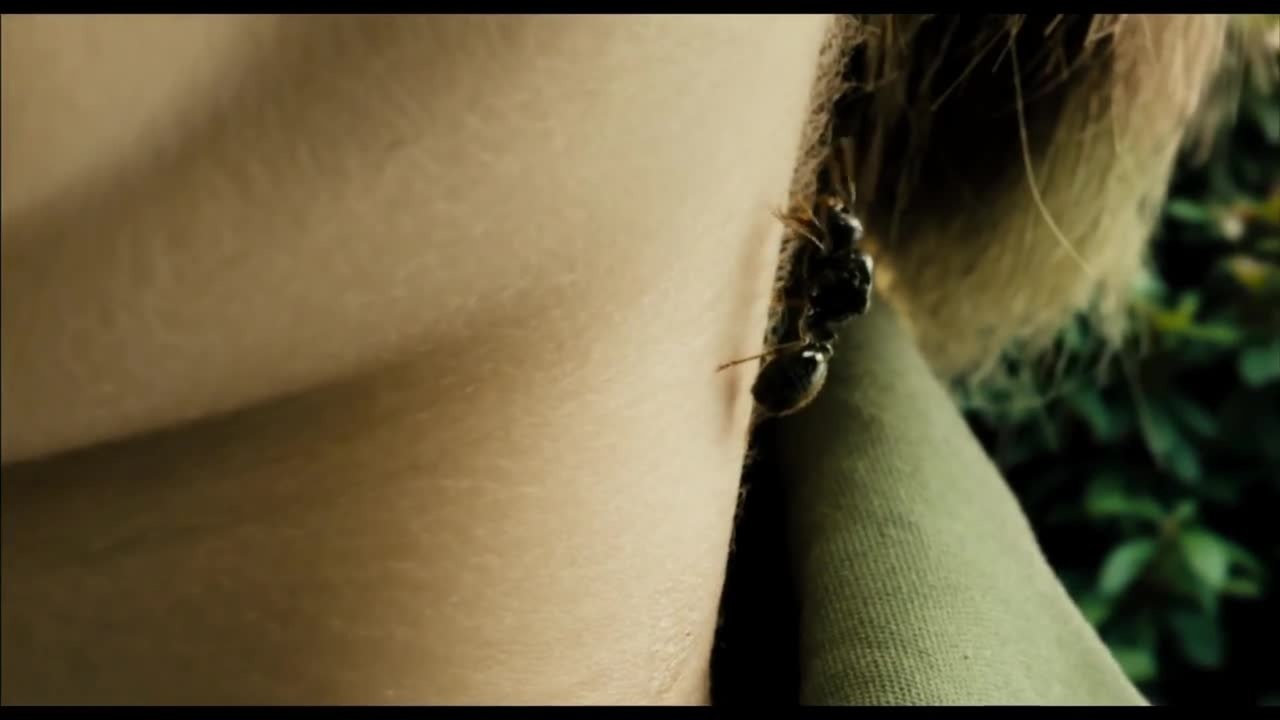 Antboy - Clip 2 (Deutsch) HD