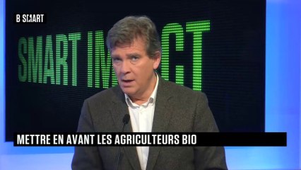SMART IMPACT - Emission du jeudi 12 novembre