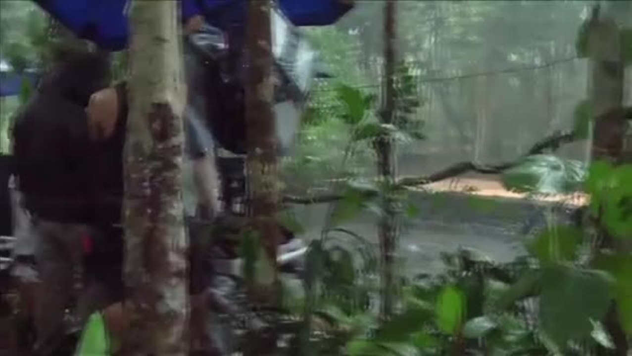 Amazonia - Making of (Deutsche UT) HD