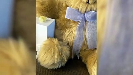 Chrissy Teigen Reveals 'Amazing' Way Daughter Luna Honored Late Son Jack After Pregnancy Loss