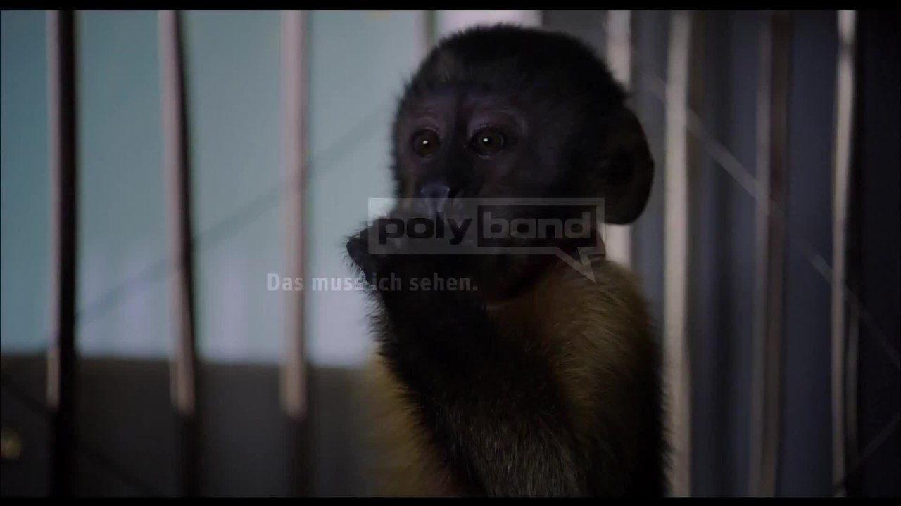 Amazonia 3D - Trailer (Deutsch) HD