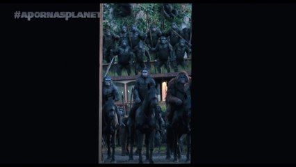 Dawn of the Planet of the Apes - International TV Spot (English) HD