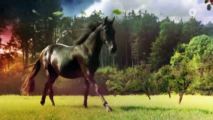 Sturm der Liebe 3488 folge