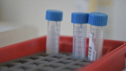 Alemania cuenta con un acuerdo europeo con Biontech en los próximos días