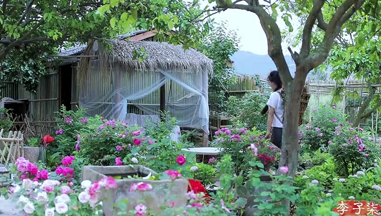 （笋）Best Time of Year to Comsume Juicy and Tender Bamboo Shoots; Pick As Much As You Like Liziqi