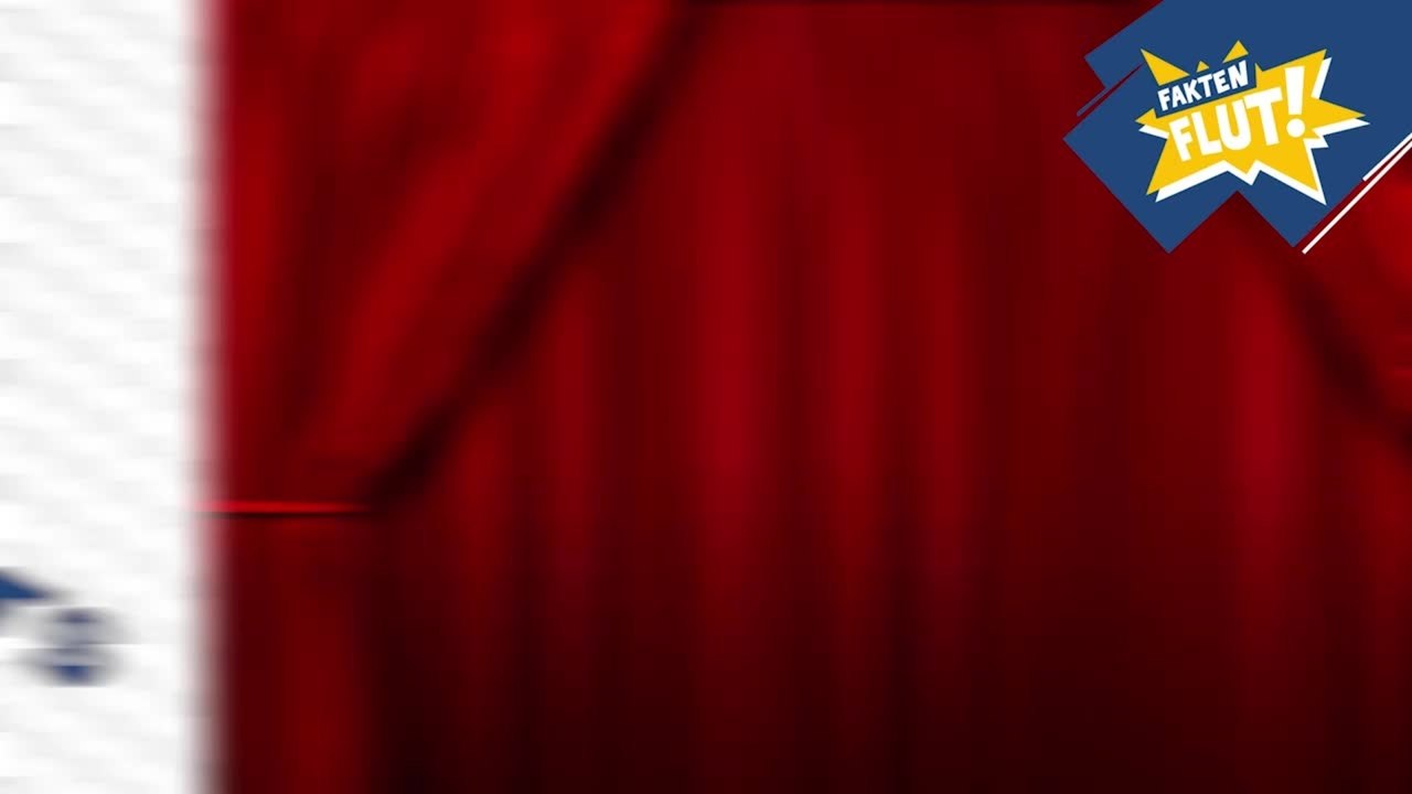 Muppets Backstage Faktenflut