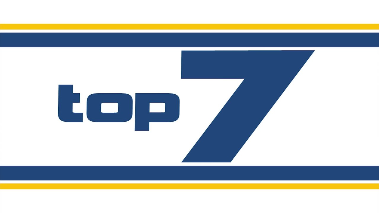 Die Top 7 der Piraten