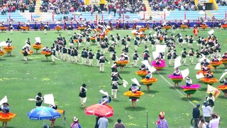 C. JUVENTUD WIFALAS DEL C.P. SAN ISIDRO DE PUTINA - DANZAS AUTÓCTONAS (CANDELARIA 2020)