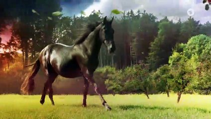 Sturm der Liebe 3488 folge