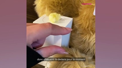 Chrissy Teigen : l'émouvant geste de sa fille Luna pour son petit frère décédé