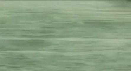 Hadas Y Duendes 2009 - Trailer (English)