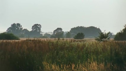 It Looks Pretty From a Distance - Trailer (English Subtitles) HD