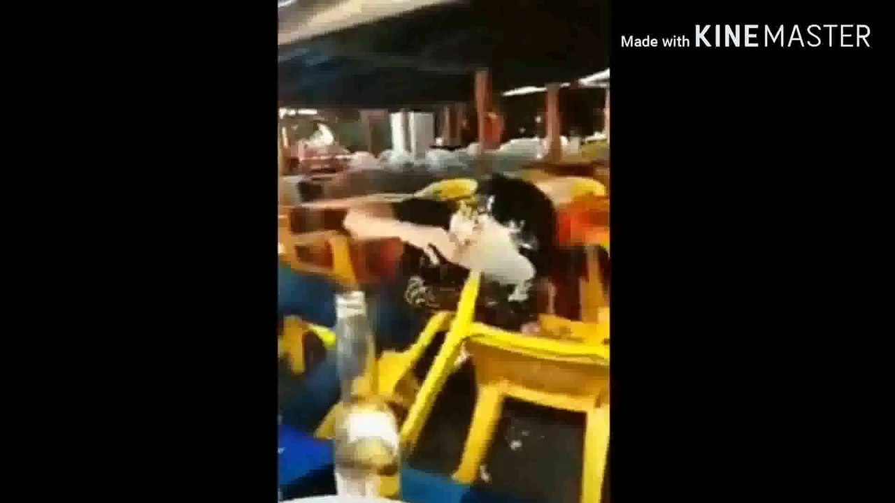 vídeos más virales del mundo 