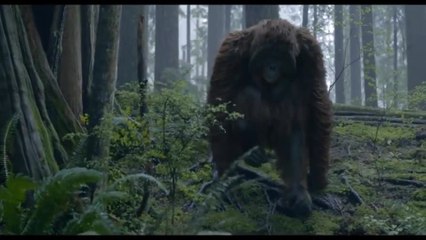 Dawn of the Planet of the Apes - Clip Hanging Out (English) HD