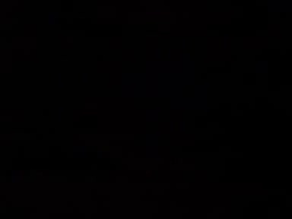 Pinky and the Brain - Intro 1 (Deutsch)