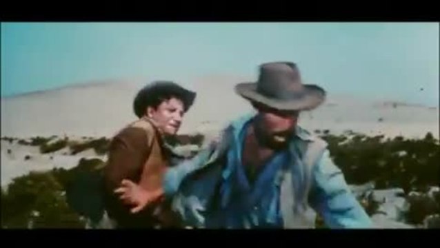 Die vier Geier der Sierra Nevada