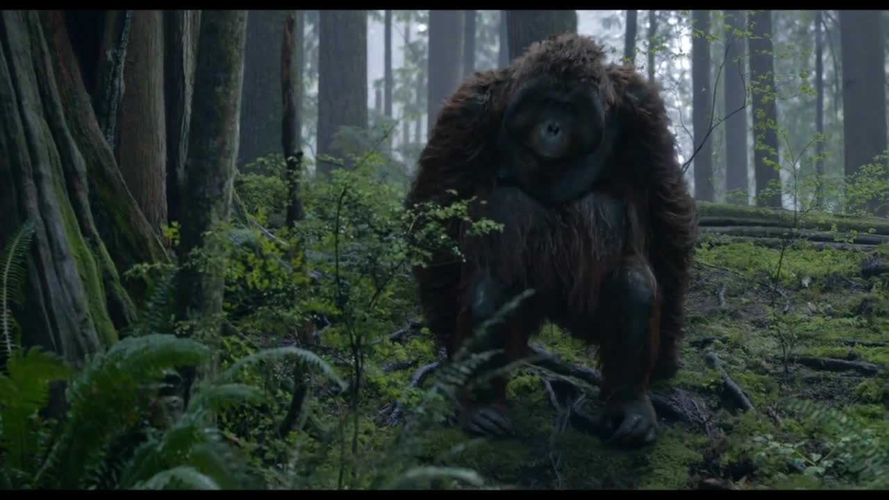 Planet der Affen Revolution - Clip Wir hingen rum (Deutsch) HD