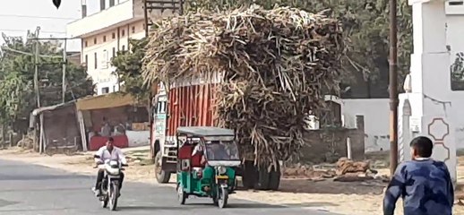 गन्ने से भरे ओवरलोड ट्रकों ने दो विद्युत पोल किए क्षतिग्रस्त