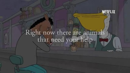 BoJack Horseman - S01 Clip BoJack Needs Your Help 1 (English) HD
