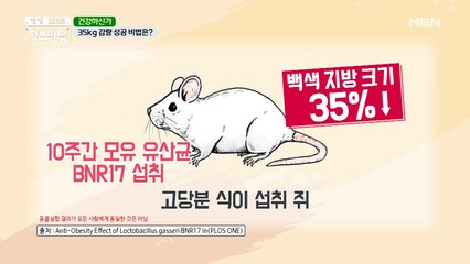 장 건강을 지키면서 다이어트! OOO만 잘 먹으면 된다?!