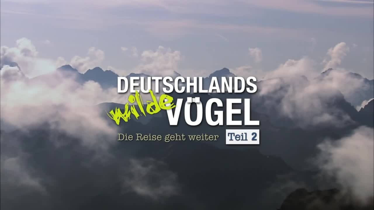 Deutschlands wilde VÃ¶gel 2 - Trailer (Deutsch) HD