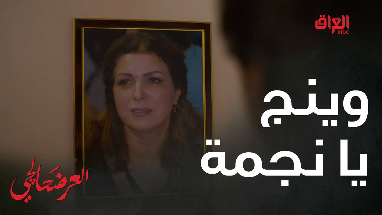 العرضحالجي محتار ونجمة الوحيدة اللي تساعده بس وينها