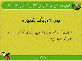 Insan Or Jinn | Surat Ar-Rahman 13 | Ayat | HD