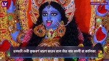 Types Of Kali: দক্ষিণা কালী থেকে করুণাময়ী, মা কালীর ৮ রূপ জেনে নিন | Kali Puja 2020
