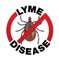 Des chercheurs découvrent une protéine qui protège de la maladie de Lyme