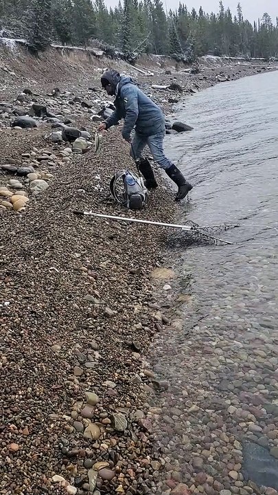 Fox Takes Fish