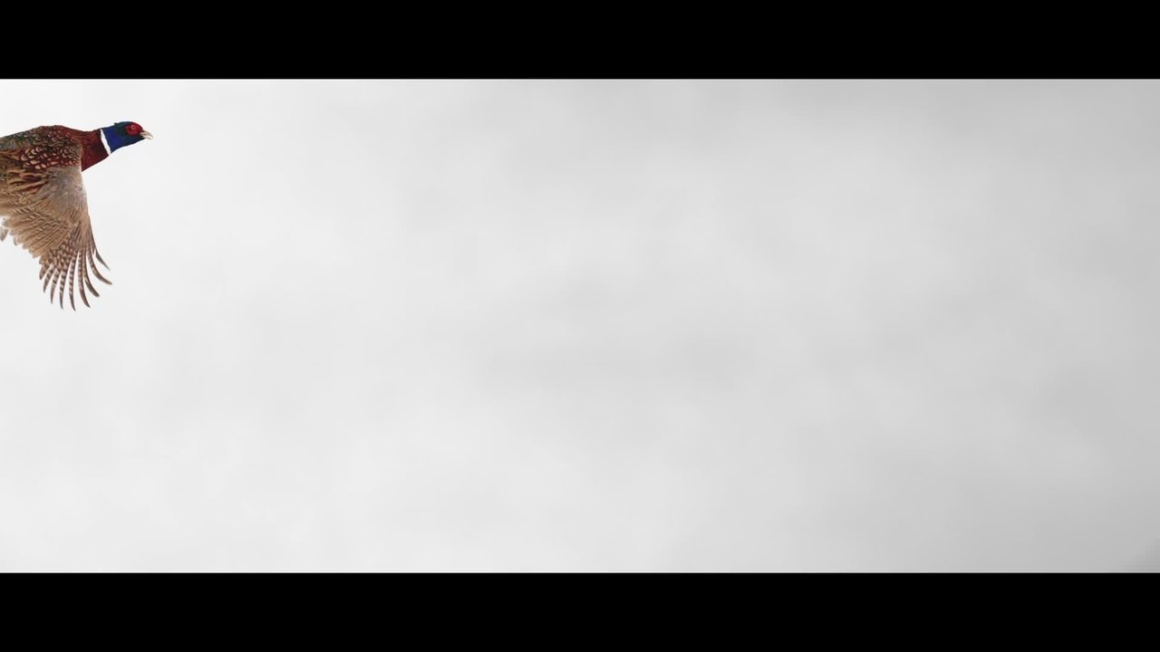 SchÃ¤ndung - Teaser Trailer (Deutsch) HD