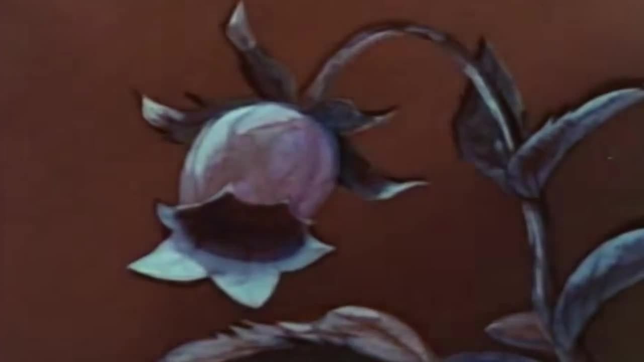 Die Biene Maja - Clip Intro (Deutsch)