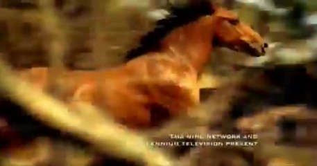 McLeod's Daughters - S07 Opening (English)