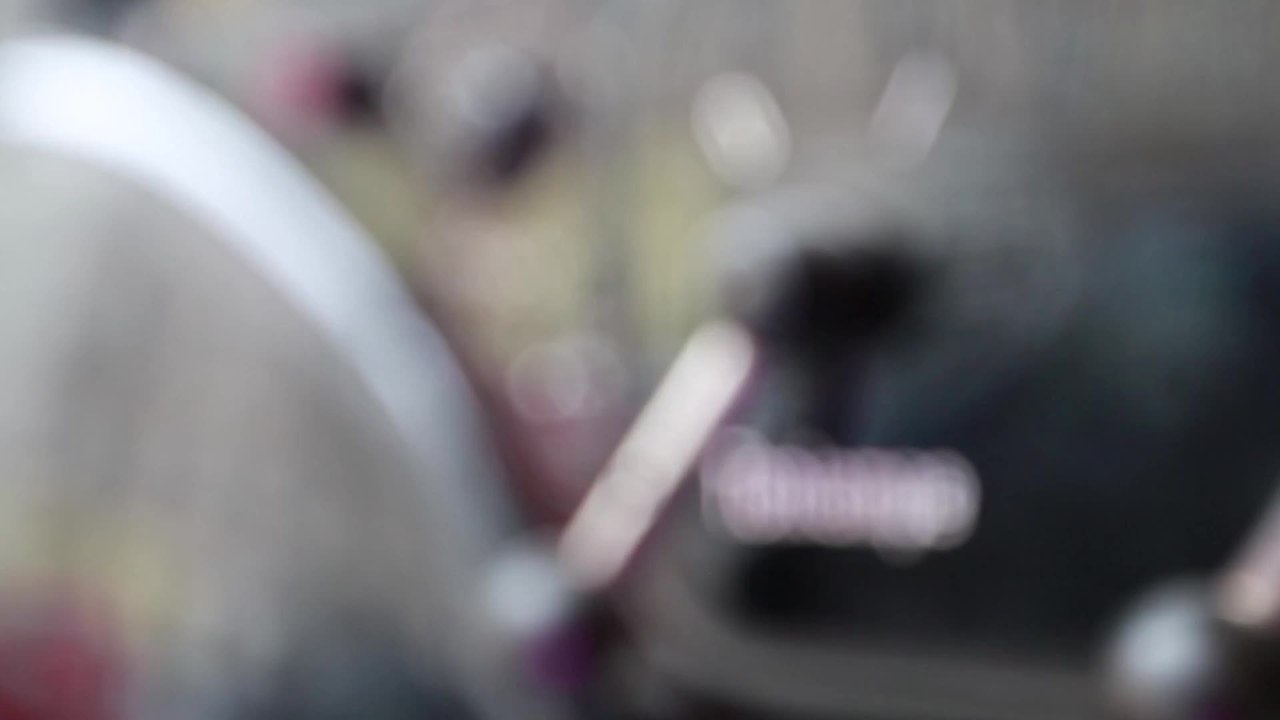 Filmcheck mit Will Arnett