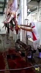 How chinese take donkey as mutton dish in table