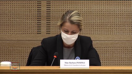 Ecologie : "C'est un budget ambitieux"  affirme Barbara Pompili