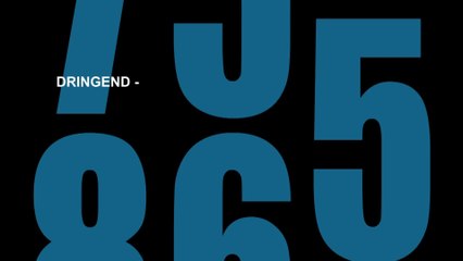 Die WildgÃ¤nse kommen - Trailer (Deutsch) HD