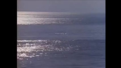 Baywatch - Clip Intro (English)