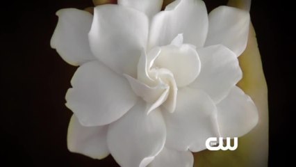 Jane the Virgin - S01 Trailer (English) HD