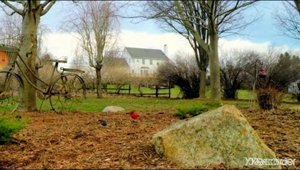 شعر اسلامي الله لطيف بعباده